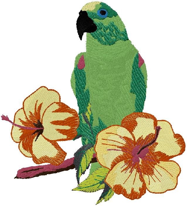 parrot embroidery design