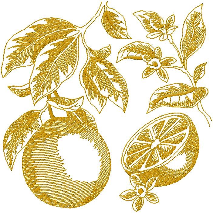 Lemon Embroidery Design
