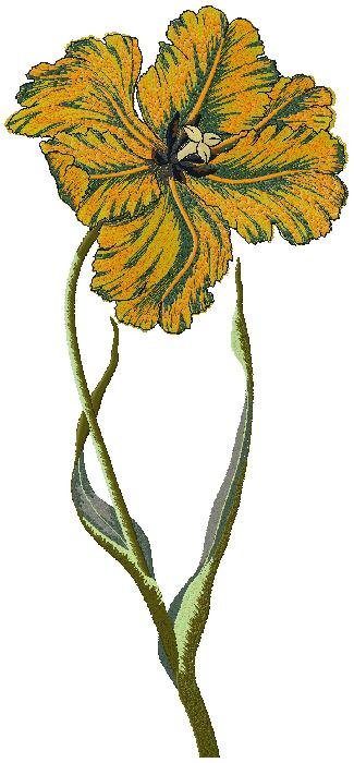 floral design for free download