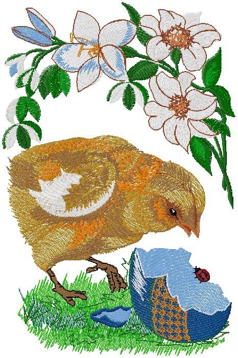 Easter chicken and broken egg  Embroidery Design