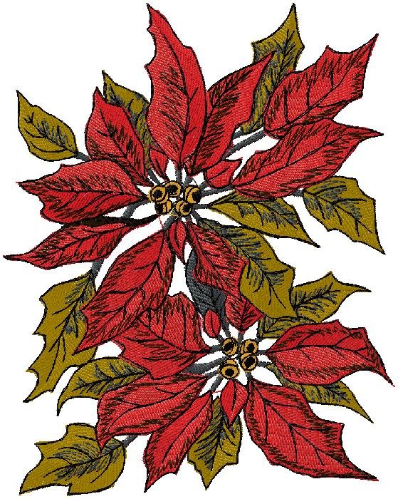 Elegant Poinsettia Floral Embroidery Design