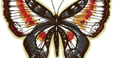 Butterfly embroidery design