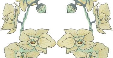 floral embroidery design