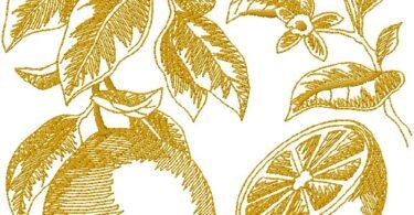 Lemon Embroidery Design