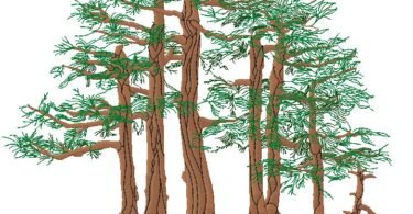 Trees embroidery design 