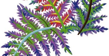 branches machine embroidery design 