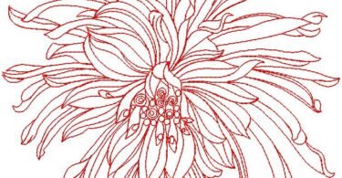 flower Eembroidery Design 