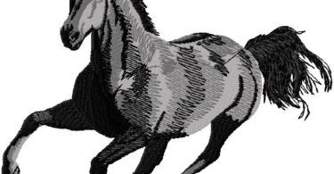 Black horse design for free download