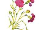 floral machine embroidery design