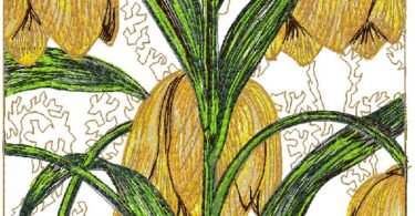 wonderful floral embroidery design