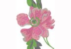 flower machine embroidery design