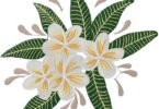floral machine embroidery design floral machine embroidery design floral machine embroidery design [xyz-ihs snippet="1] Click next to get the download link [xyz-ihs snippet="1"] [xyz-ihs snippet="1"] Click next to get the download link [xyz-ihs snippet="1"] [xyz-ihs snippet="1"] Download [xyz-ihs snippet="1"] floral machine embroidery design floral machine embroidery design floral machine embroidery design [xyz-ihs snippet="1] Click next to get the download link [xyz-ihs snippet="1"] [xyz-ihs snippet="1"] Click next to get the download link [xyz-ihs snippet="1"] [xyz-ihs snippet="1"] Download [xyz-ihs snippet="1"]