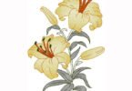 wonderful Floral embroidery design