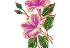 wonderful floral Embroidery Design