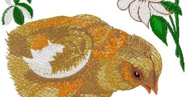 Easter chicken and broken egg  Embroidery Design