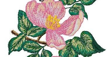 Bird with flowers machine Embroidery Design