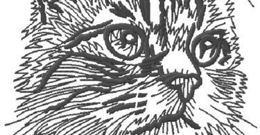 cute cat Embroidery Design