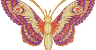 wonderful Butterfly embroidery design
