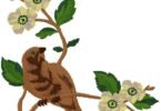 Bird embroidery design