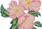 Blush Bloom Elegance – Pink Floral Embroidery Design