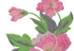 Elegant Pink Floral Embroidery Design with Lush Green Leaves