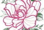 Elegant Pink Peony Floral Embroidery Design