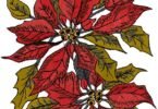Elegant Poinsettia Floral Embroidery Design