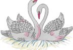 Elegant Swan Love Embroidery Design