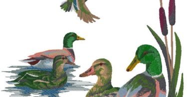 Wild Mallard Ducks Embroidery Design Set