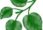 Elegant Green Leaf Branch Embroidery Design